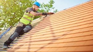Best Skylight Installation and Repair  in Belleville, MI