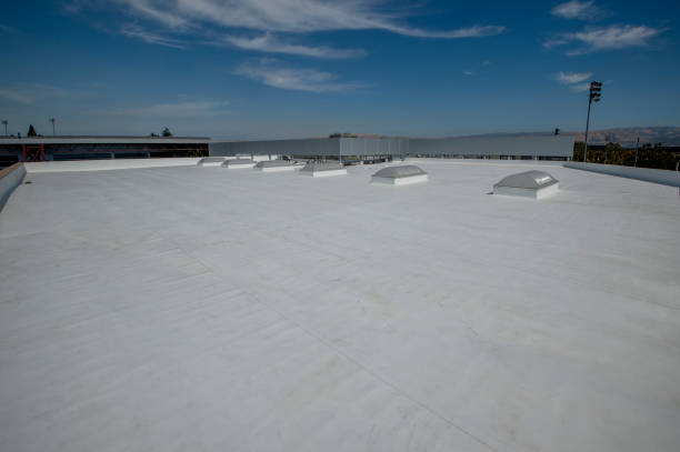 Best Roof Ventilation Installation  in Belleville, MI