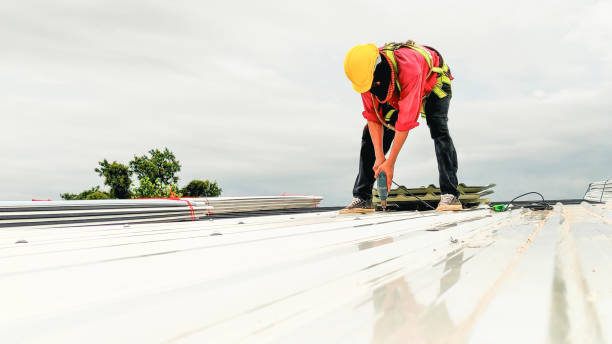 Best Roof Installation  in Belleville, MI