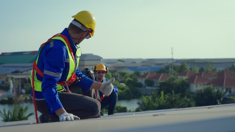 Best Roof Coating and Sealing  in Belleville, MI