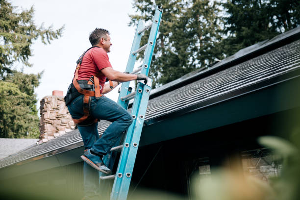 Best Cold Roofs  in Belleville, MI